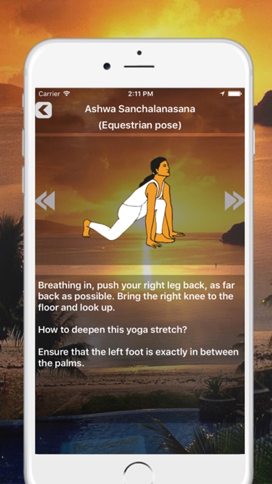 SURYA NAMASKAR - SUN SALUTATIONS YOGA POSITIONS SỨC KHOẺ SURYA NAMASKAR - SUN SALUTATIONS YOGA POSITIONS