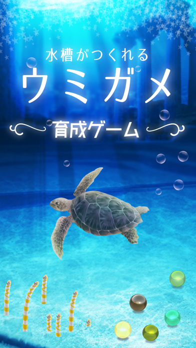 ウミガメ育成ゲーム（癒しのリラクゼーション編） screenshot1