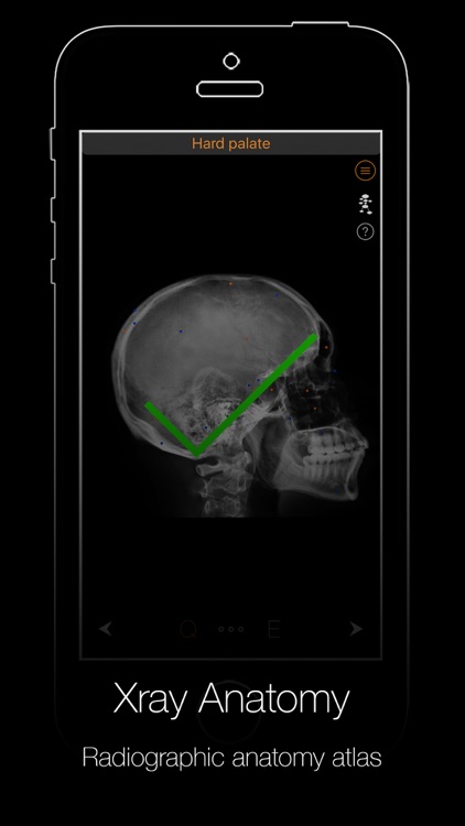 Xray Anatomy screenshot-3