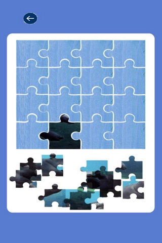Animal Hippo Doc Jigsaw Puzzle LITE screenshot 2