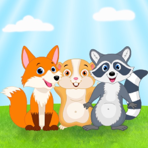 Save the Raccoon iOS App