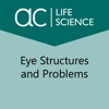 Eye Structures and Problems
