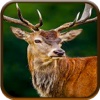 2k17 big buck deer hunt elite challenge Pro