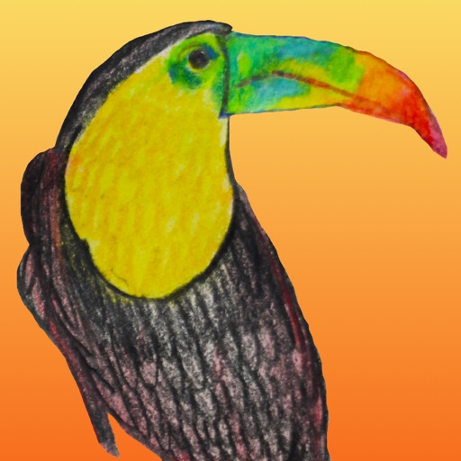 Birds of Paradise Sticker Pack