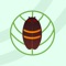 Icon Twolined Spittlebug Tool