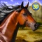 *** This is ad-free Premium version of Arabian Horse Simulator ***