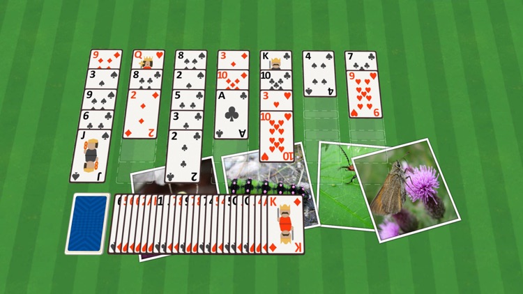 Golf Solitaire Critters screenshot-4