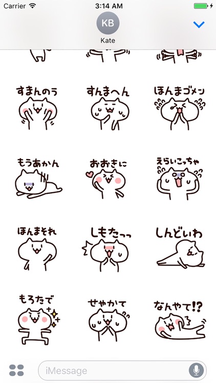 Osaka cat