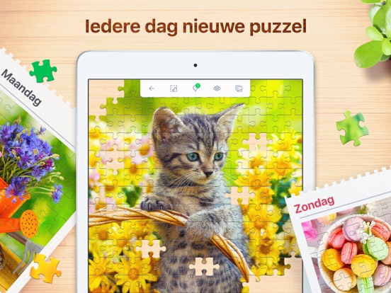 Jigsaw Puzzle: Legpuzzel iPad app afbeelding 4