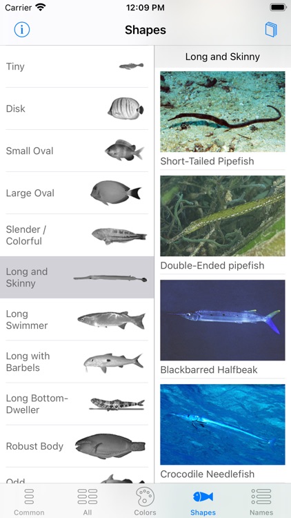 Red Sea Fish ID screenshot-7