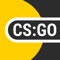 CS:GO Statistics - an application for analyzing statistics in the game CS:GO