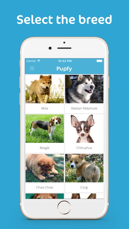 Pupfy - Find, Adopt & Rescue a Loyal Dog Companion