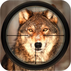 Activities of Snow Wolf Shooting: Wildlife Hunter