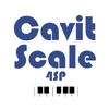 Cavit Scale 4SP - Cavit Artanlar