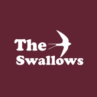 The Swallows