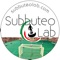 Calcio da tavolo in miniature, puoi creare le tue squadre e giocare con i tuoi amici, Subbuteo è il gioco del calcio da tavolo più famoso e unico nel suo genere