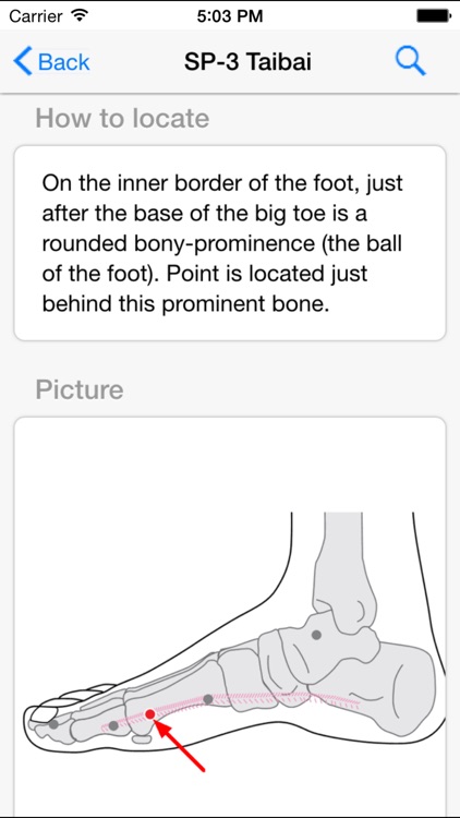 Acupressure: Heal Yourself screenshot-3