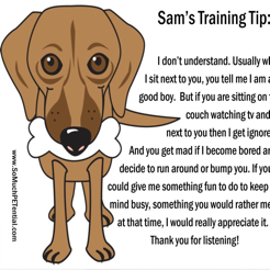Learning for dog training premium