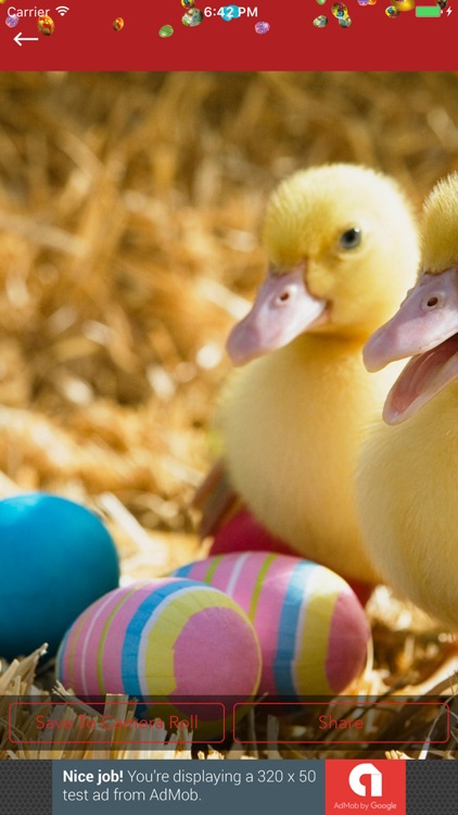 Easter Wallpapers HD screenshot-3