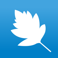 StarLeaf chat, meet and call