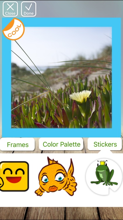 Cat Stickersz screenshot-4