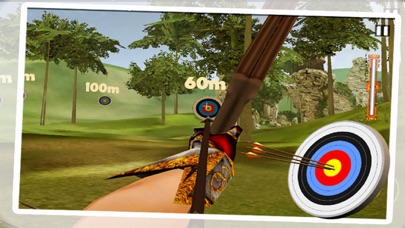 Forest Archery Shoot 2017 screenshot 2