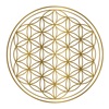 The flower of life