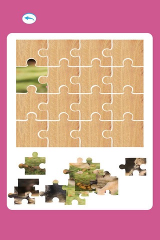 Animals Pieces Jigsaw For Toddler screenshot 2