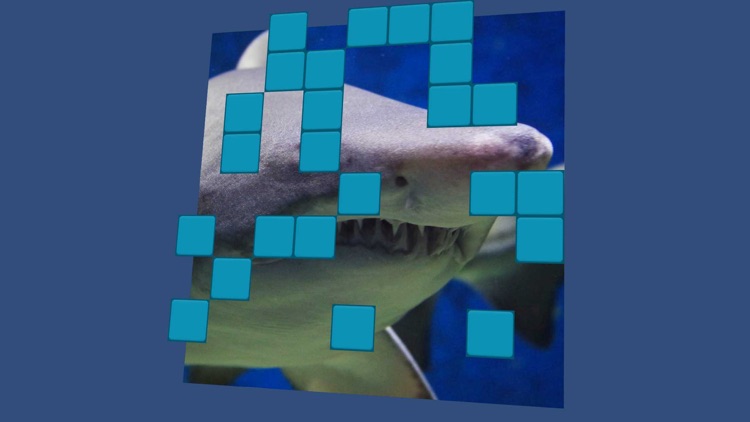 Wordsearch Revealer Sea Life screenshot-3