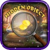 The Rulers Land Hidden Object