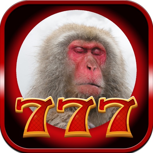 Monkey King 777 Jackpot