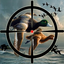 Duck Hunting Pro Challenge-Bird Shooting Game 3D