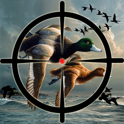 Duck Hunting Pro Challenge-Bird Shooting Game 3D Icon