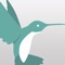 Icon iOffice Hummingbird