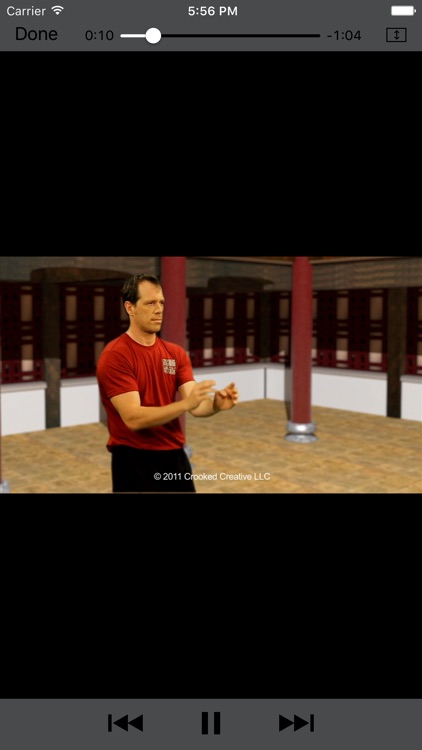 Wing Chun Masters 2 - HD screenshot-3