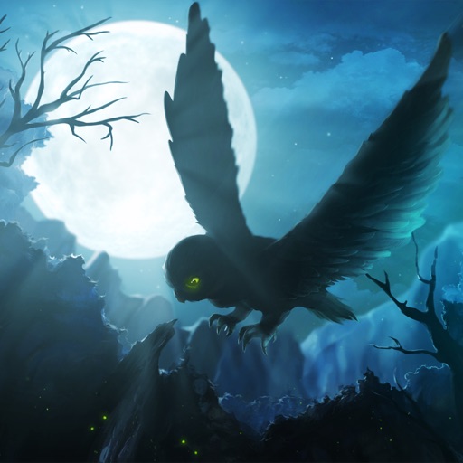 Owl's Midnight Journey - Light iOS App