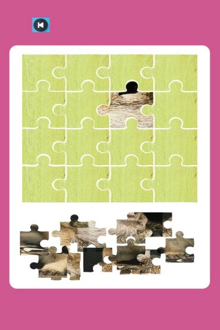 Chipmunk King Jigsaw For Kids Preschool screenshot 2