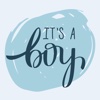 Its A Boy New Baby Sticker Pack