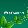 My Weed Watcher