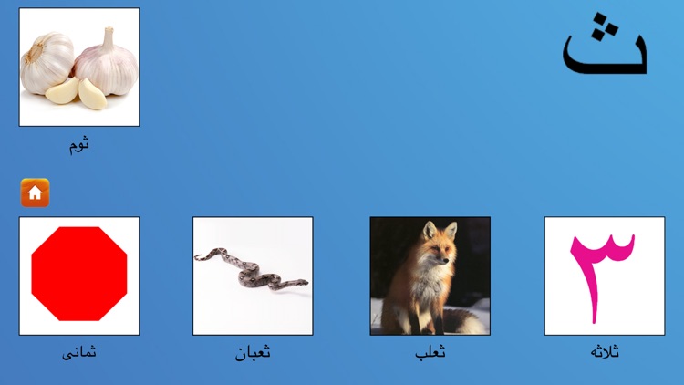 My First Book of Arabic HD screenshot-3