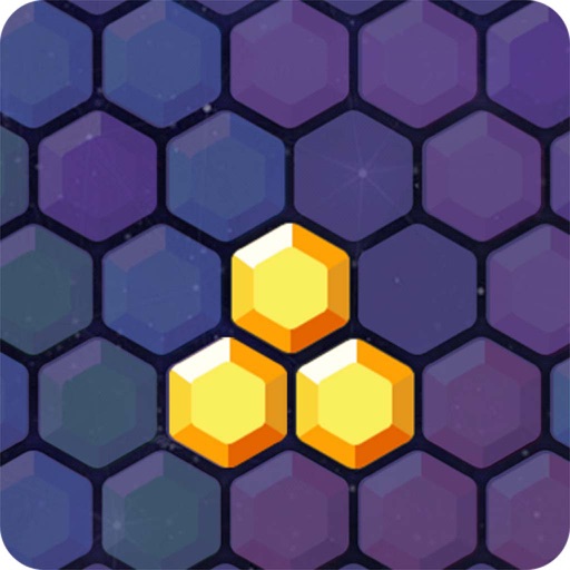 Block Puzzle Hexa - 1010 Hex Fit