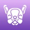 Pawfect is a mobile app designed to generate connections
