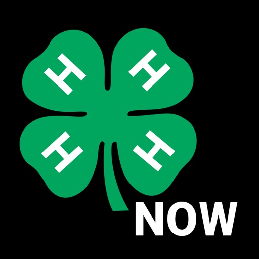 4-H Now Icon