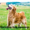 A Guide to Decoding Dog Language-How to Speak Dog
