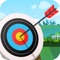 Archery Ace - The Archery King Edtion