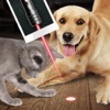 Laser for Home Animal Joke
