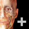Atlas d’anatomie humaine 2022＋