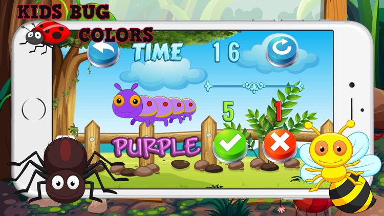 The Bug Animals Color Quiz