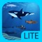 Sequel to the award-winning educational game iBiome-Wetland, with more features and more content