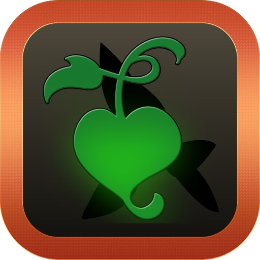 Big Show Casino Slots Free iOS App